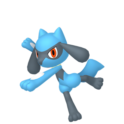 riolu-pok-mon-info-stats-and-where-to-find-it-pok-pc-pok-pc